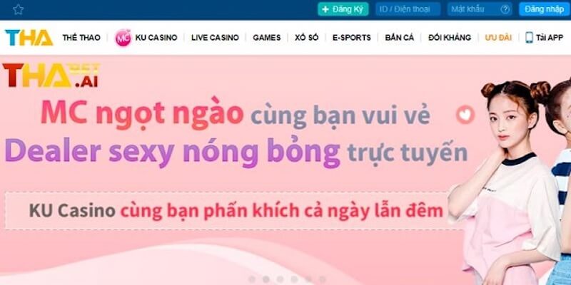 Quy định về bình luận