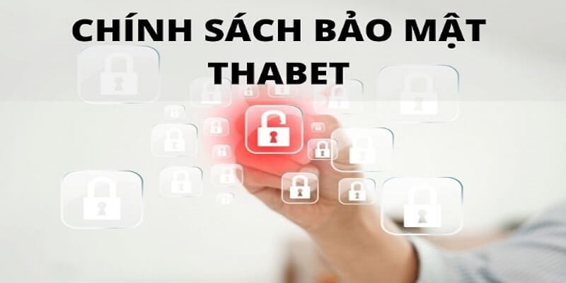 Các thông tin liên quan đến Chính sách bảo mật tại nhà cái Thabet77 khác