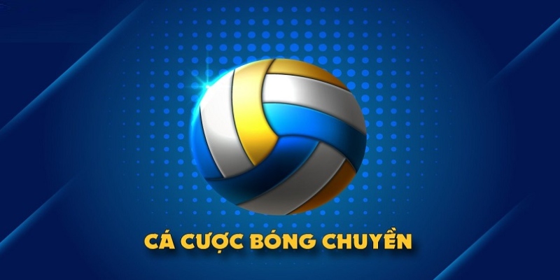 Cá cược bóng chuyền Thabet77 – Hướng dẫn cách chơi chi tiết