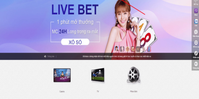 Cược Live Bet Thabet theo kiểu rồng hổ